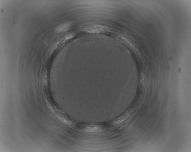 X0000084040547200703022151