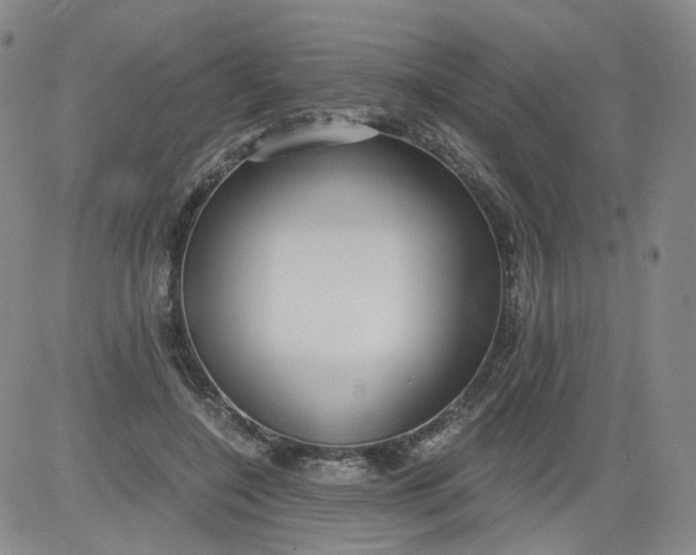 X0000084040548200703022151