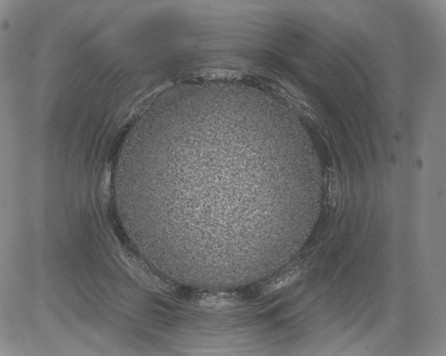 X0000084040550200703022151