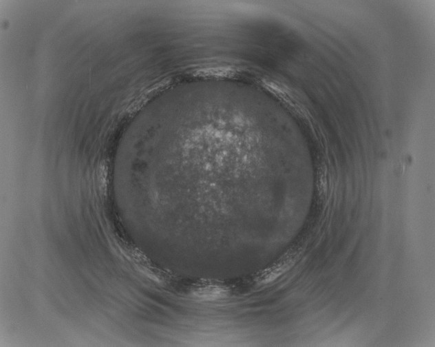 X0000084040551200703022151