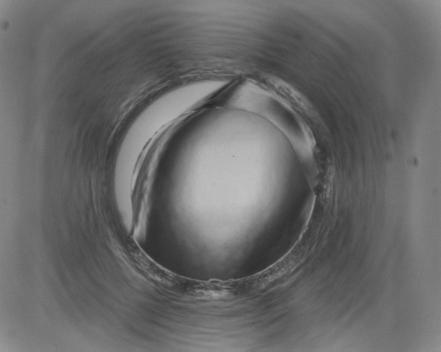 X0000084040552200703022151