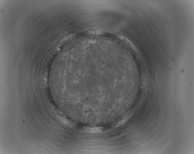 X0000084040553200703022151