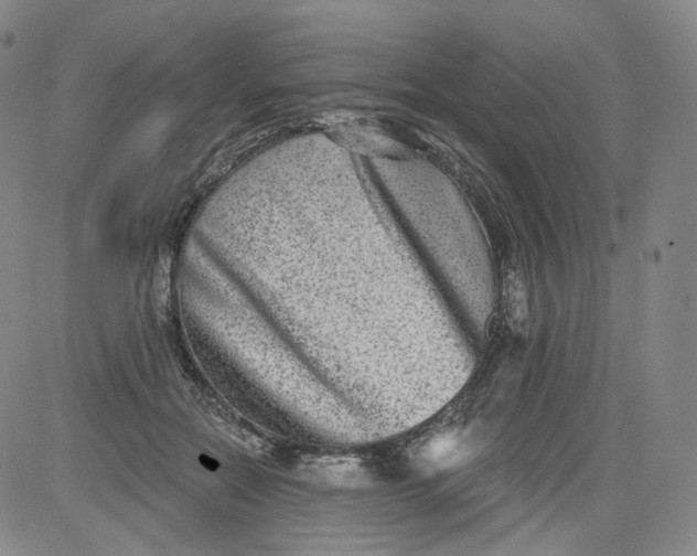 X0000084040554200703022151