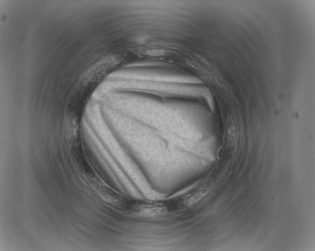 X0000084040555200703022151