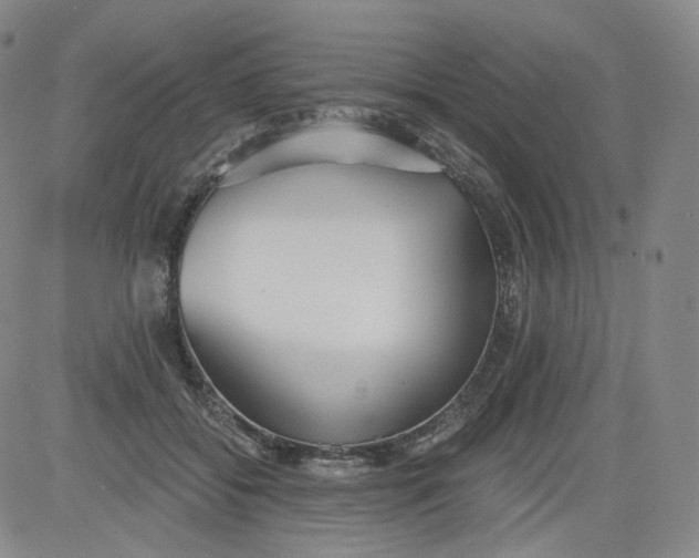 X0000084040556200703022152