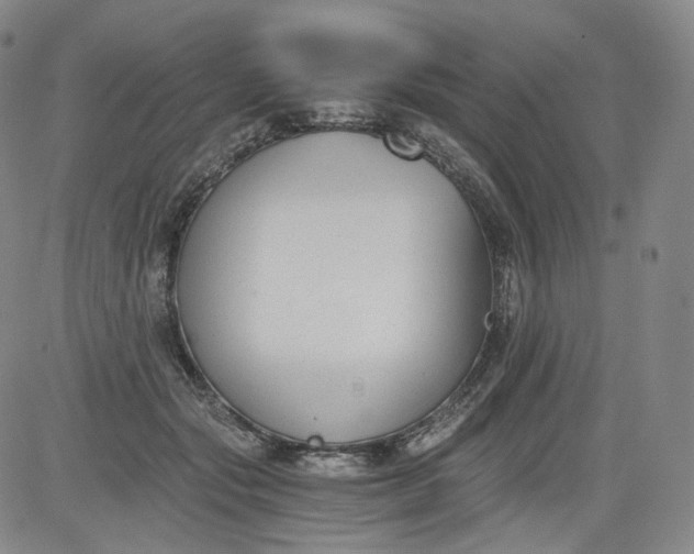 X0000084040557200703022152