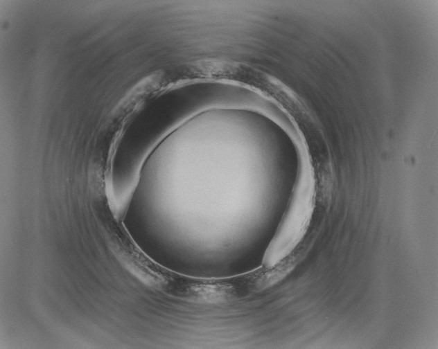 X0000084040558200703022152