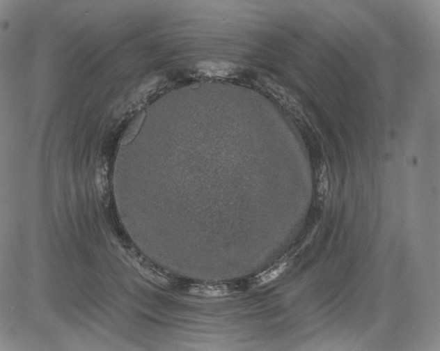 X0000084040559200703022152