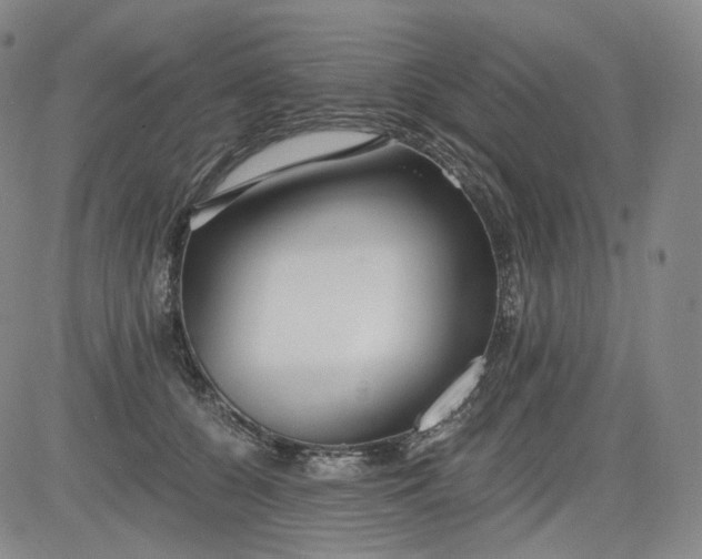 X0000084040560200703022152