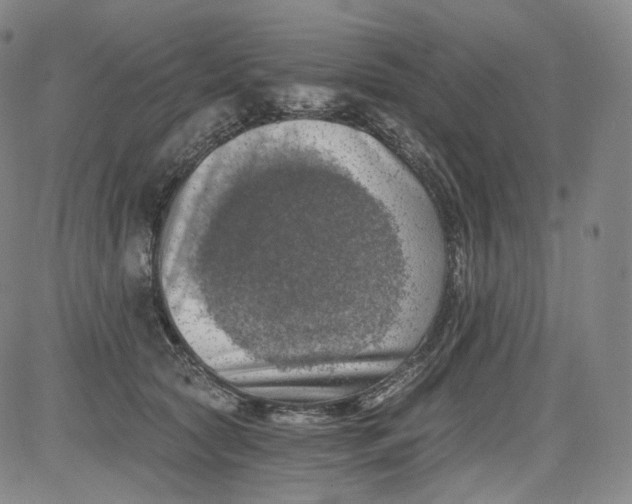 X0000084040561200703022152