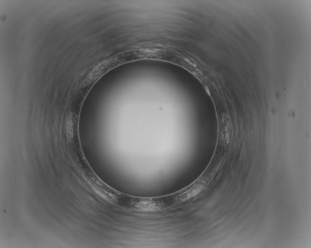 X0000084040562200703022152