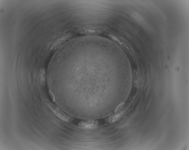 X0000084040563200703022152