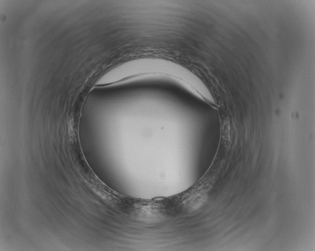 X0000084040564200703022152