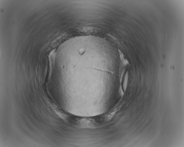 X0000084040566200703022152