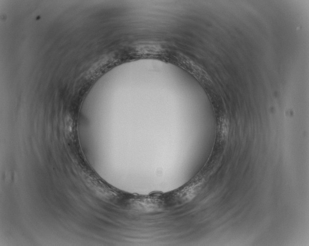 X0000084040567200703022152