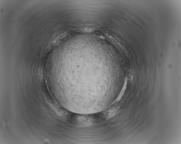 X0000084040568200703022152