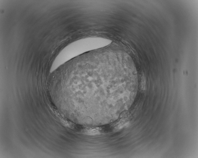 X0000084040569200703022152