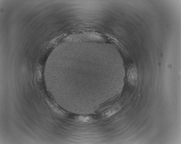 X0000084040570200703022152