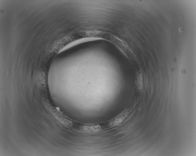 X0000084040571200703022152