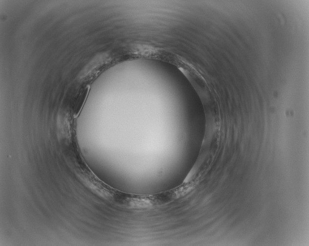 X0000084040572200703022152