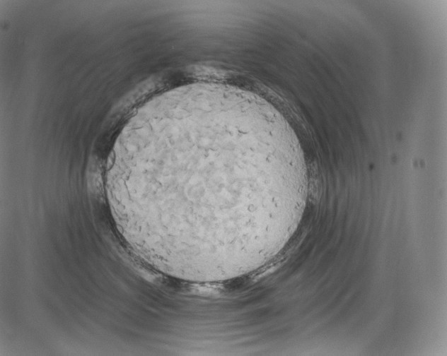 X0000084040573200703022152