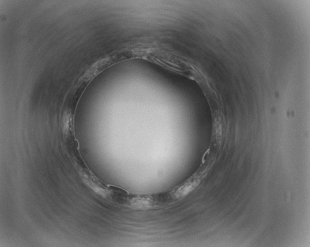 X0000084040574200703022152