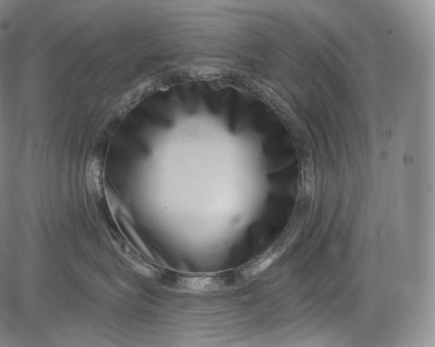 X0000084040575200703022152