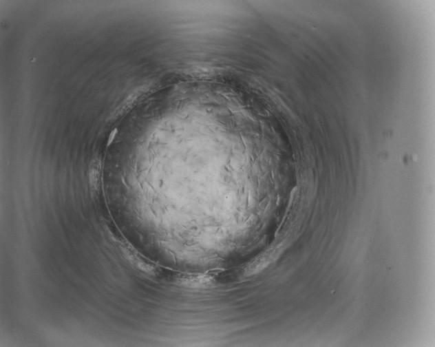 X0000084040576200703022152