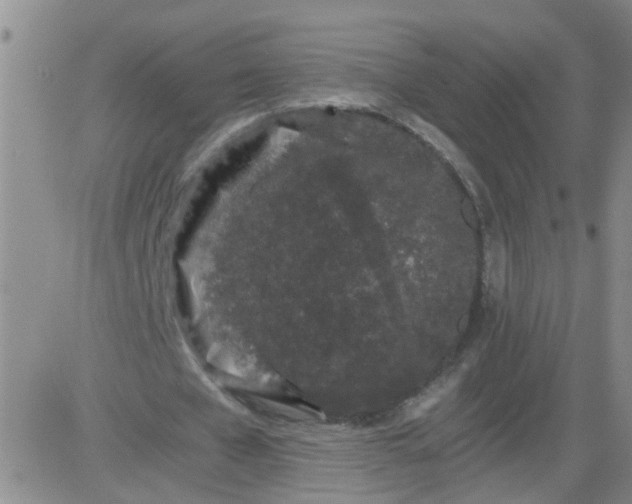 X0000084040577200703022151