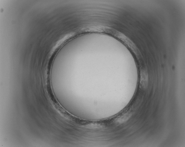 X0000084040578200703022151