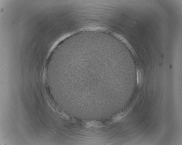 X0000084040579200703022151