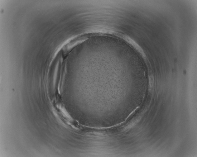 X0000084040580200703022151