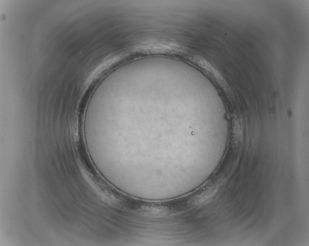 X0000084040582200703022151