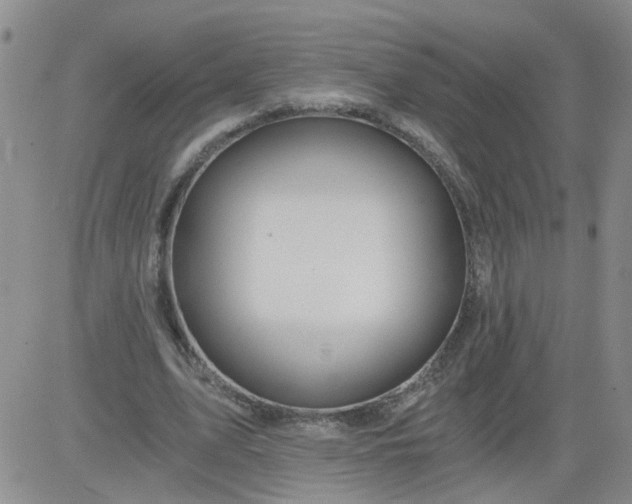 X0000084040583200703022151