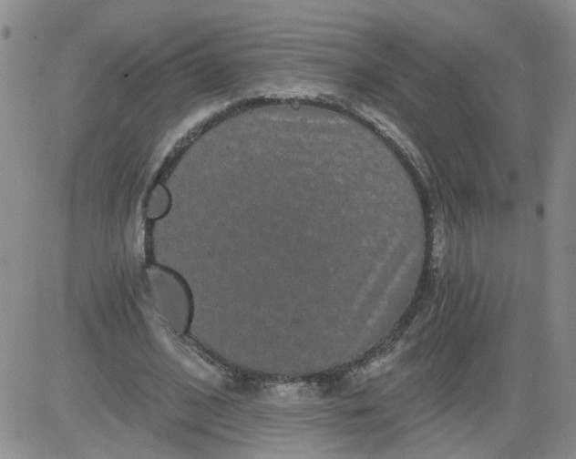 X0000084040584200703022151