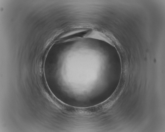 X0000084040585200703022151