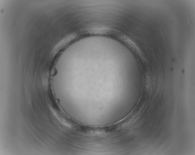 X0000084040586200703022151