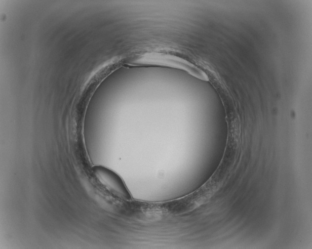 X0000084040587200703022151