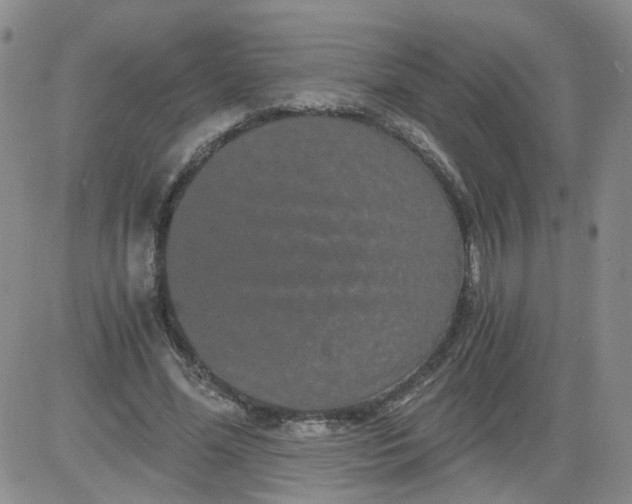 X0000084040588200703022151