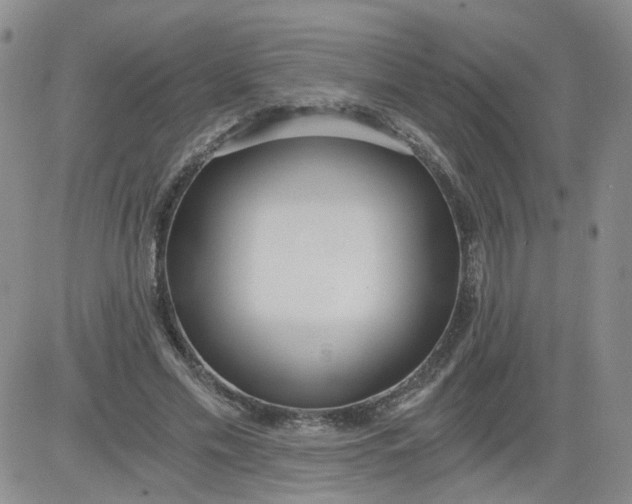 X0000084040589200703022151