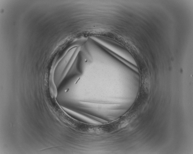 X0000084040591200703022151