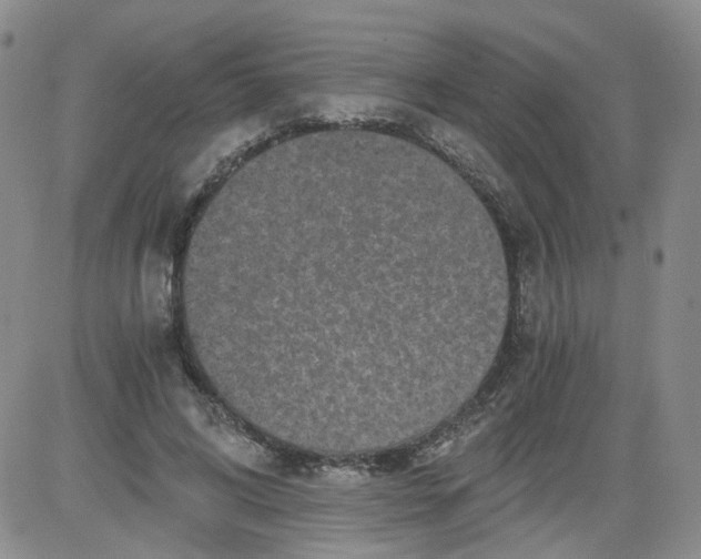 X0000084040592200703022151