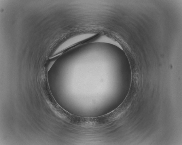 X0000084040593200703022151