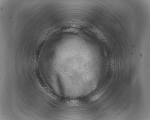 X0000084040594200703022151