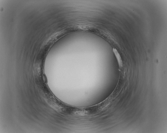 X0000084040595200703022151