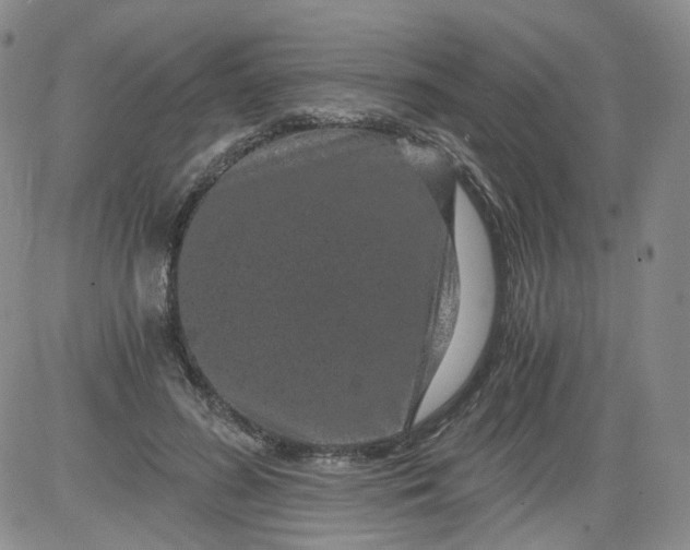 X0000084040596200703022151