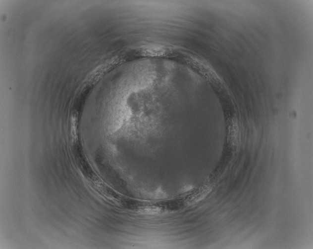 X0000084040598200703022151