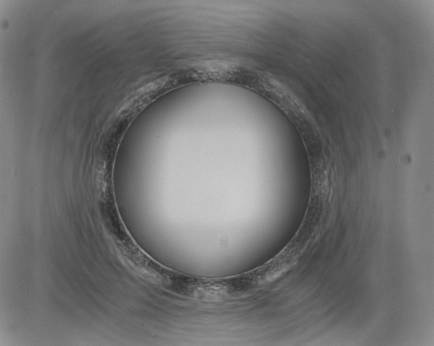 X0000084040599200703022151