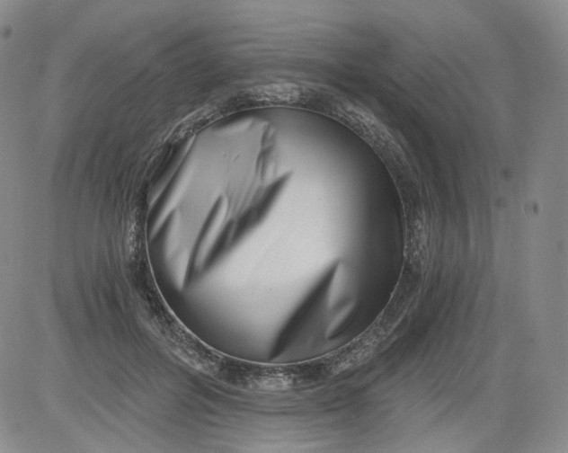 X0000084040600200703022151