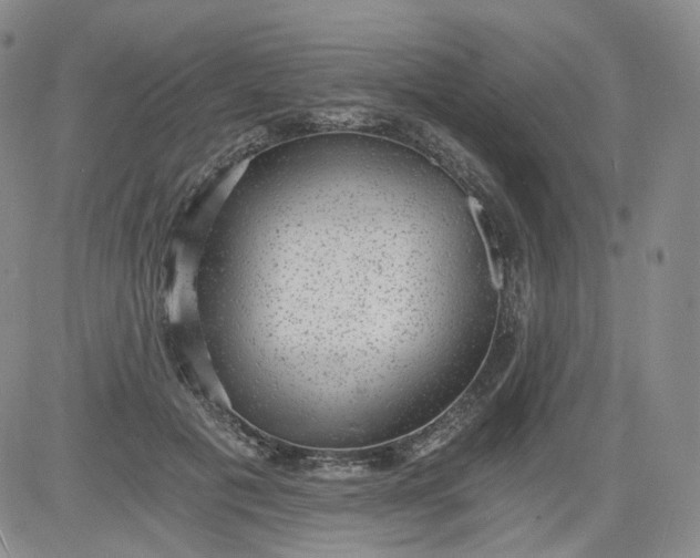 X0000084040601200703022151